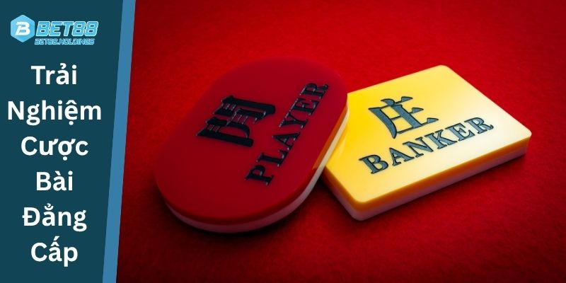 Trải Nghiệm Cược Bài Đẳng Cấp