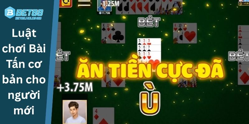 Luật chơi Bài Tấn cơ bản cho người mới