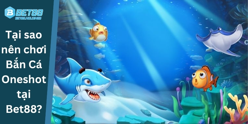 Lí Do nên chơi Bắn Cá Oneshot tại Bet88