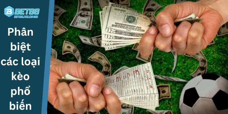 Phân biệt các loại kèo phổ biến