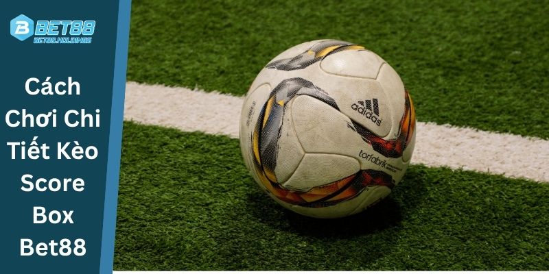 Cách Chơi Chi Tiết Kèo Score Box Bet88