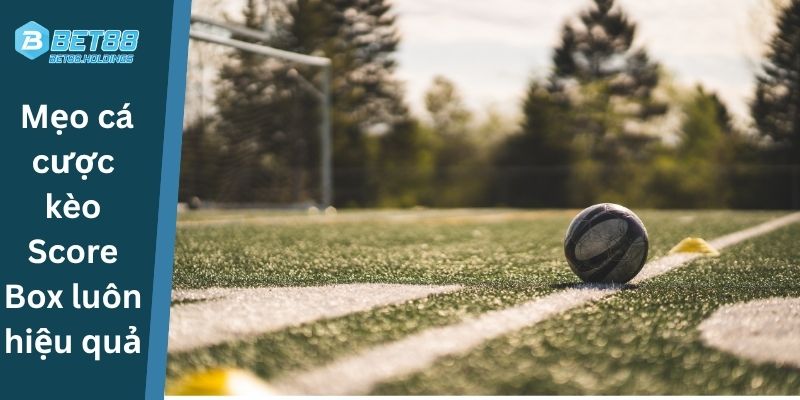 Mẹo cá cược kèo Score Box luôn hiệu quả