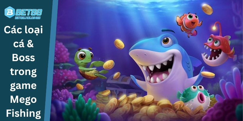 Các loại cá & Boss trong game Mego Fishing