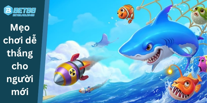 Mẹo chơi dễ thắng cho người mới